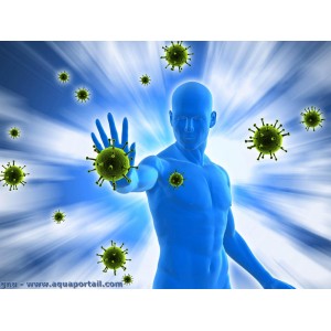 Synergie Immunité 10ml Floressence